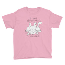 Load image into Gallery viewer, CHUM THE CAT &quot;I&#39;LL NAP ON IT&quot; Hand drawn design. Youth Short Sleeve T-Shirt - We Care Tees

